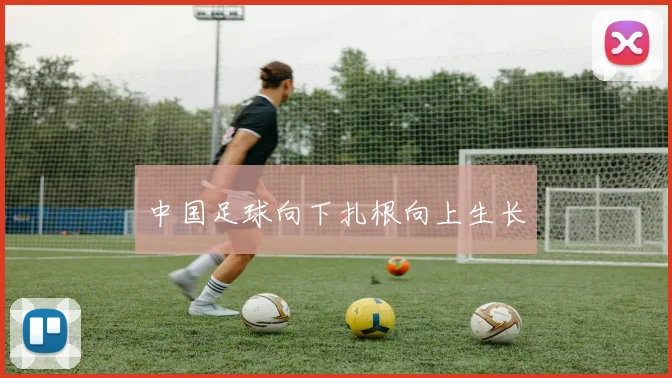 中国足球向下扎根向上生长