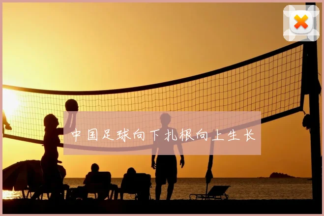 中国足球向下扎根向上生长