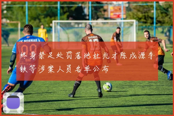 终身禁足处罚落地杜兆才陈戌源李铁等涉案人员名单公布