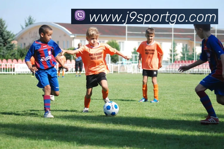 J9九游会APP 高清赛事图