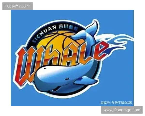 四川为何拥有CBA球队及体育竞技市场分析